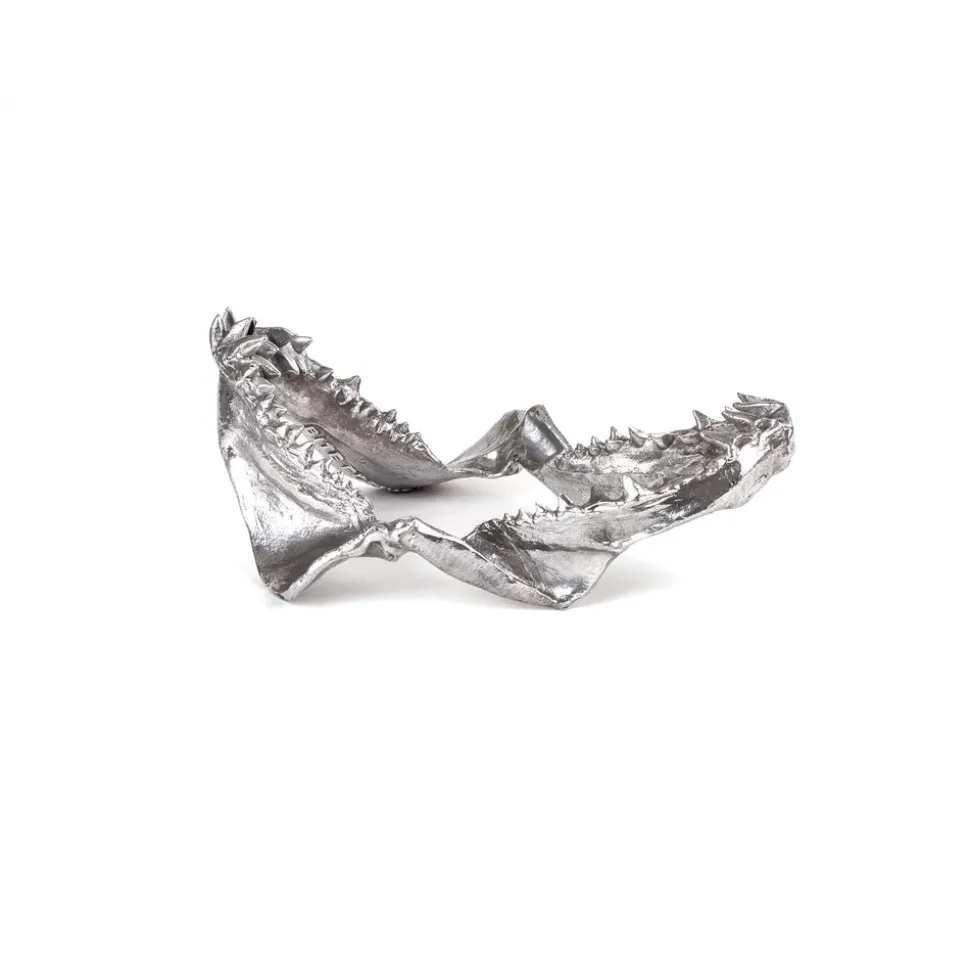 Wunderkammer Shark Jaw