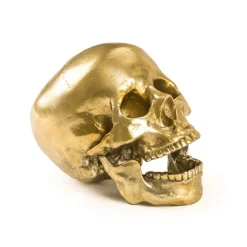 Wunderkrammer Human Skull