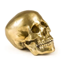 Wunderkrammer Human Skull