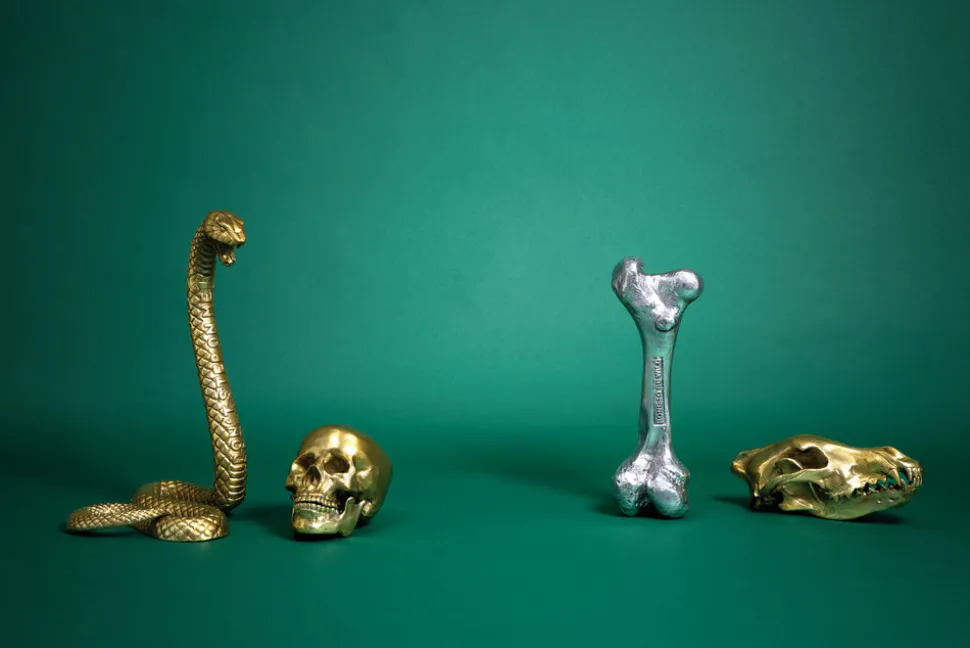 Wunderkrammer Snake