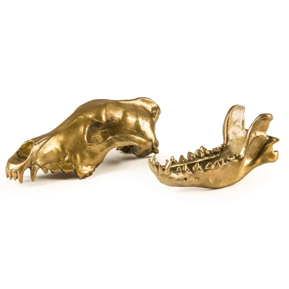 Wunderkrammer Wolf Skull
