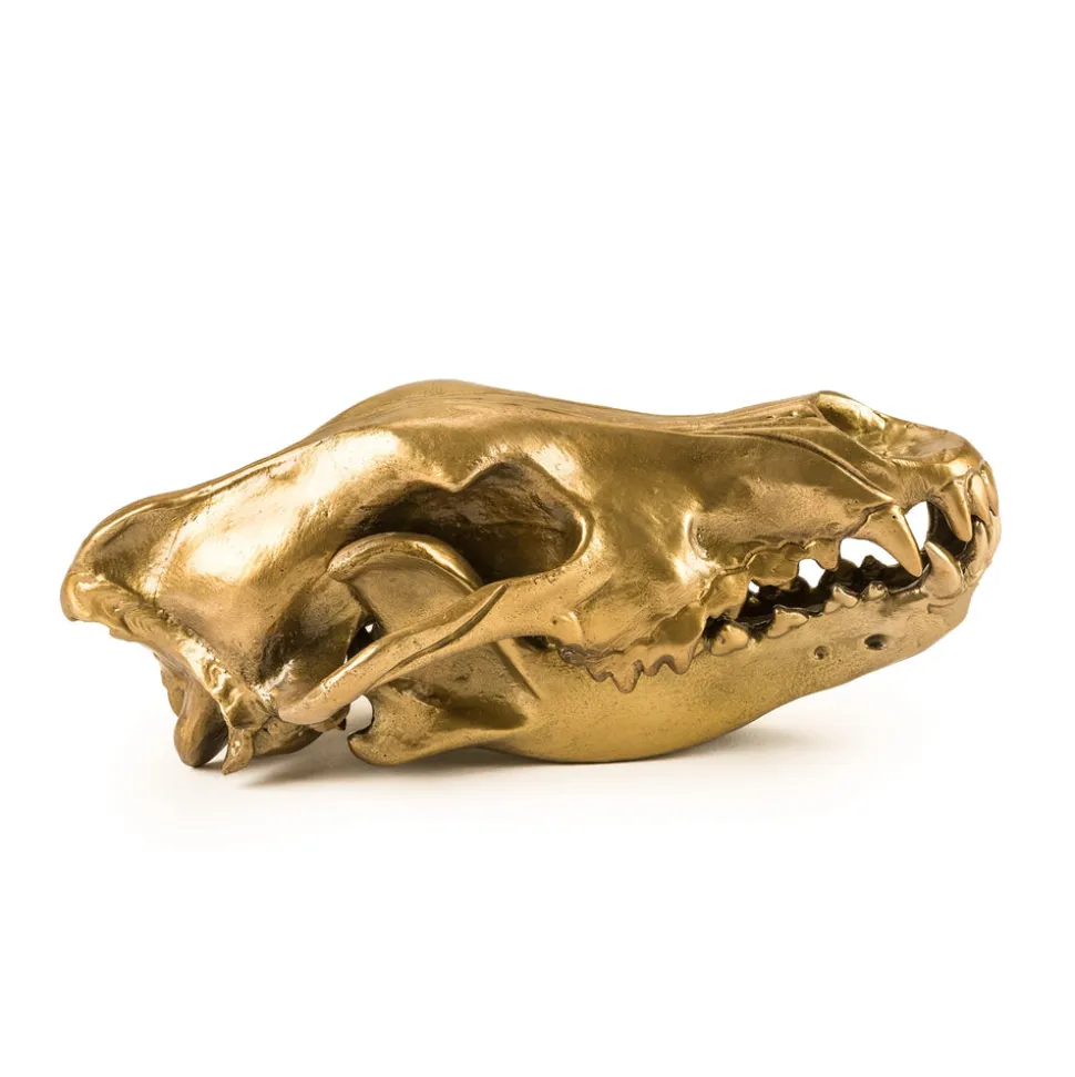 Wunderkrammer Wolf Skull